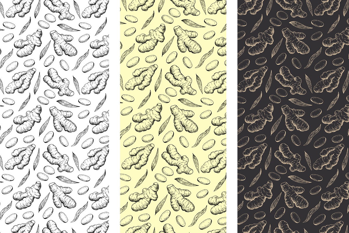 Ink illustration of ginger roots, a Food Illustration by Robusta (Photo 4 of 4)