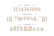 Asiafest - A Unique & Stylish Serif, a Serif Font by Typia Nesia (Thumbnail 3 of 12)