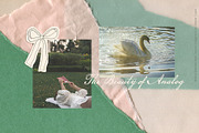 Bundle Scanned Paper Texture Collage, a Texture Graphic by Oksana Trygub (Thumbnail 31 of 50)