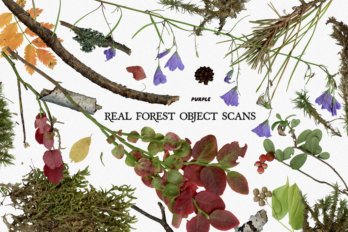 Leaf Imprints, Forest Scans & Paper, an Object Graphic by Purple (Photo 15 of 20)