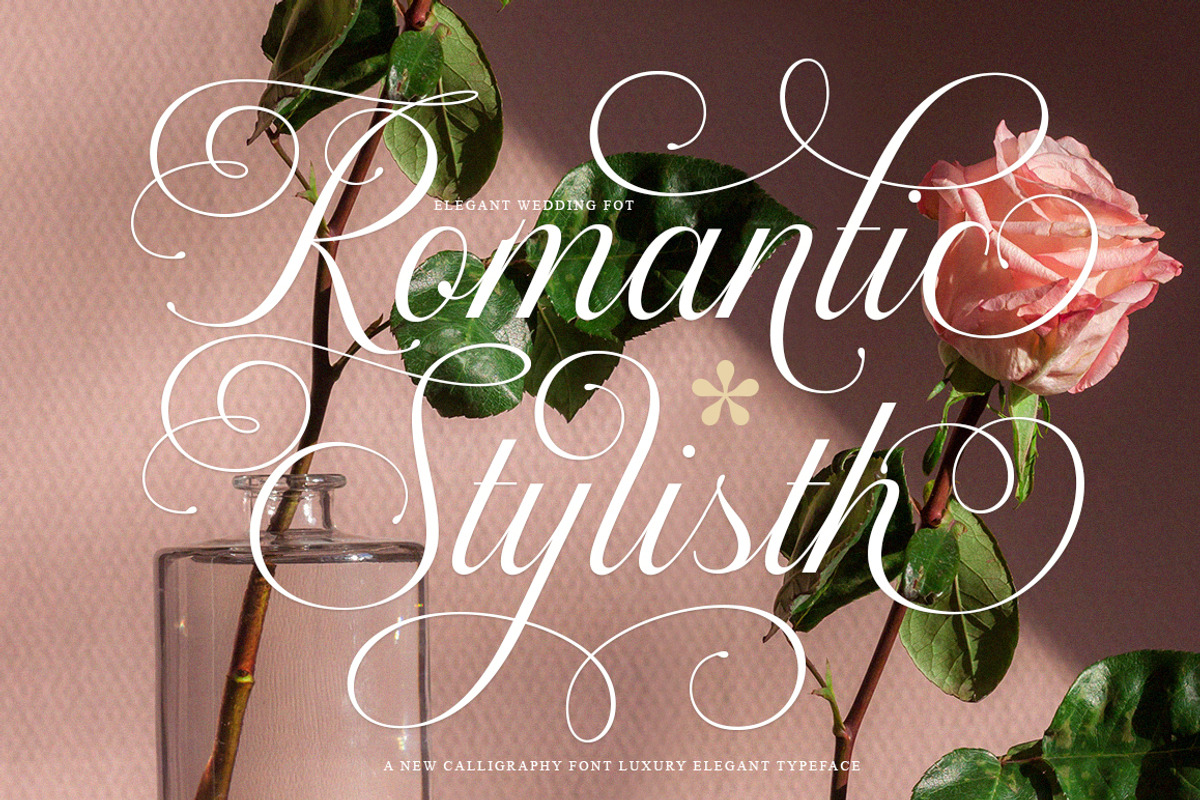 Callontine Script Pro, a Script Font by IM Studio (Photo 3 of 13)