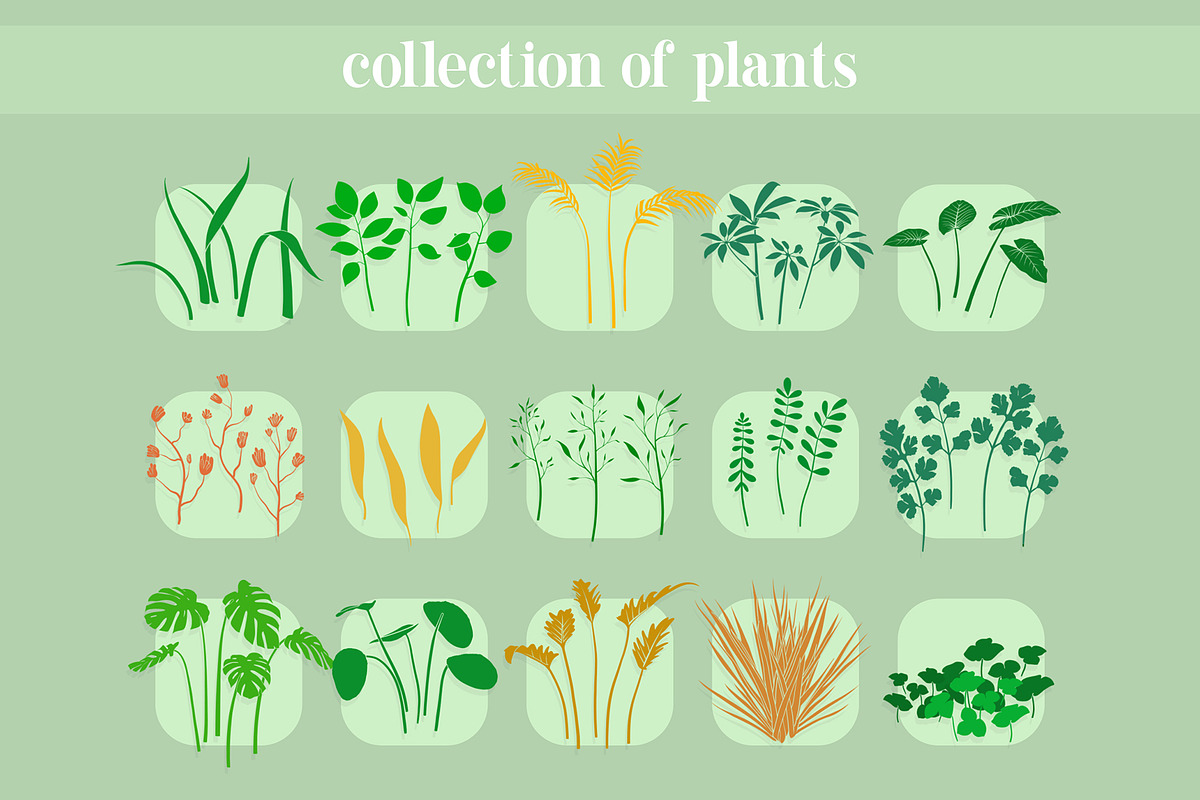 Complete Foliage Kit For Procreate, a Brush Add-On by BrushBoy (Photo 5 of 7)