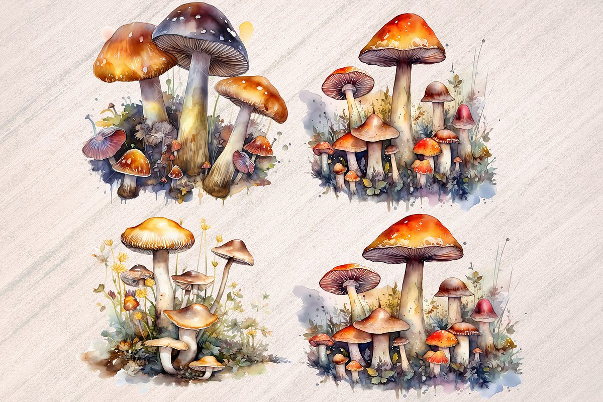Wild Mushrooms Watercolor Clipart, a Food Illustration by Leakedink (Photo 3 of 4)
