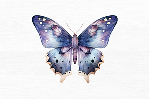 Watercolor Mystical Moth Clipart