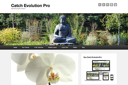 Catch Evolution Pro