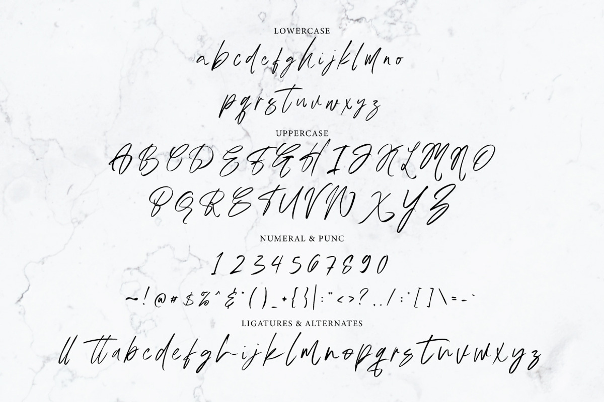 Austand - Handwritten Signature, a Script Font by tebaltipislab (Photo 9 of 10)