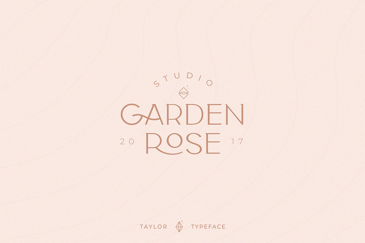 Classy Taylor Typeface, a Serif Font by CCS Type (Photo 14 of 24)