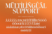 Merzalina - A Decorative Serif, a Serif Font by agnyhasyastudio (Thumbnail 8 of 10)