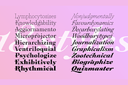 Plethora, a Serif Font by Sudtipos (Thumbnail 7 of 12)