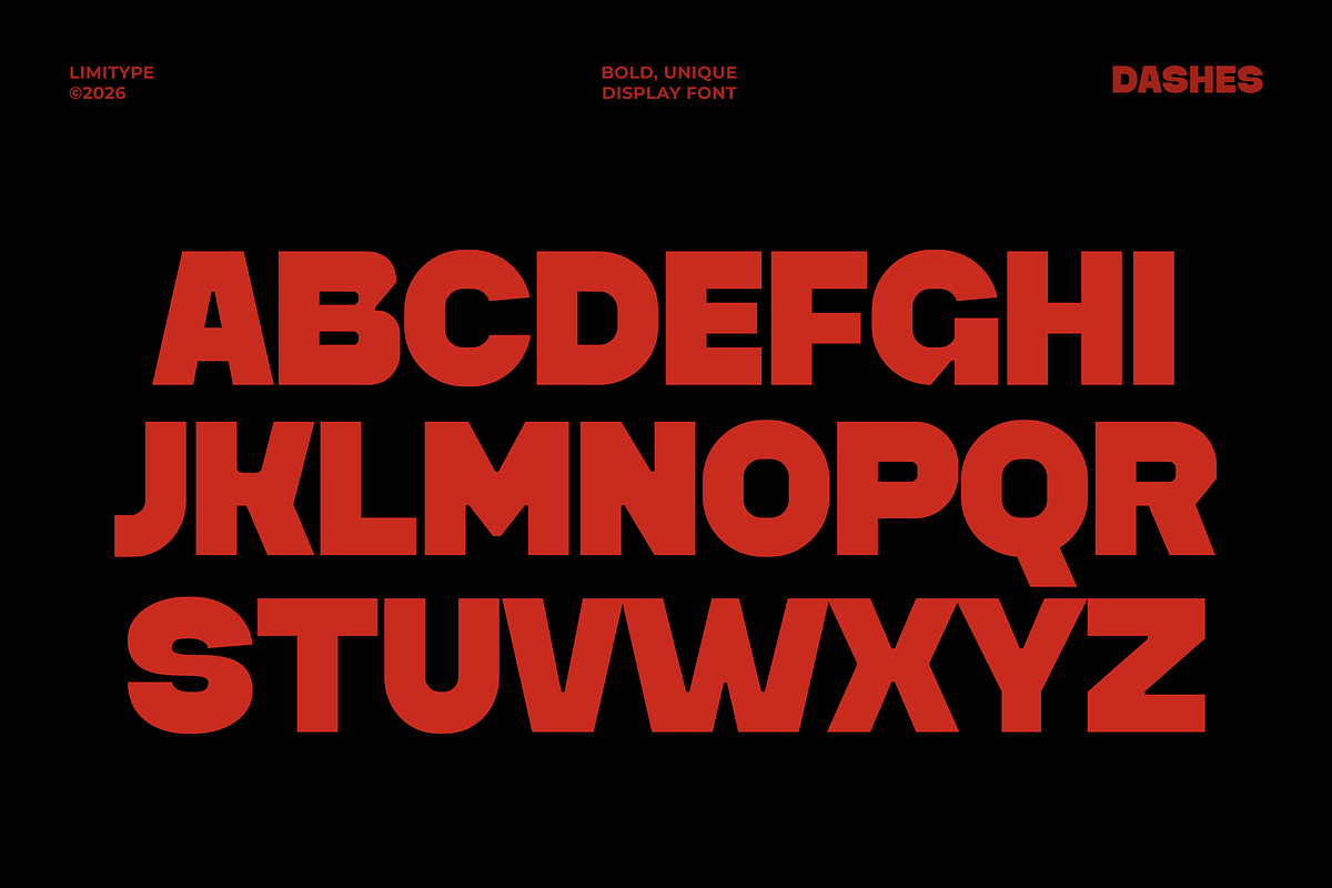 Dashes - Bold Font, a Sans Serif Font by limitype (Photo 7 of 12)