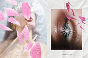 Pressed Bloom Dopamine Set, an Object Graphic by Muse Artist (Thumbnail 10 of 16)