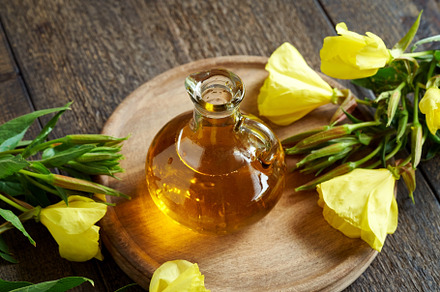 Evening primrose oil with fresh blooming evening primrose, a Food & Drink Photo by Madeleine Steinbach
