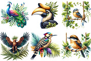 Tropical Bird Png, Jungle Birds png, an Illustration by Watercolor design (Thumbnail 2 of 4)