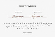 Harmonie Glamour - Modern Font Duo, a Serif Font by TropicalSunlightCo. (Thumbnail 13 of 14)