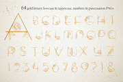 Amelie Floral Display Font, a Symbol Font by Alisovna (Thumbnail 10 of 17)