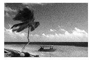 Photos to Mezzotint Photoshop Action preview 3