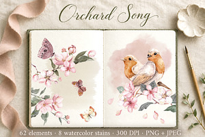 Apple Blossom Watercolor Clipart Set