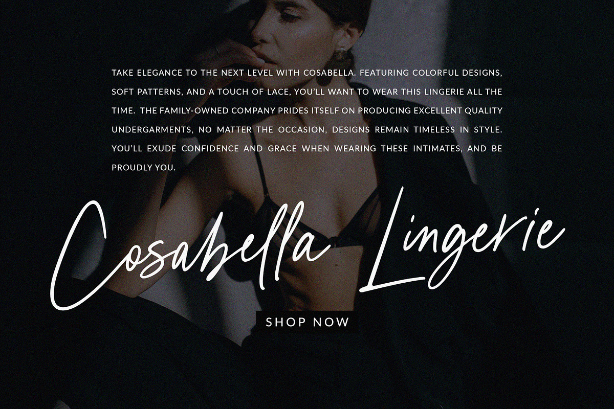Chelsie Hilton //Luxe Signature Font, a Handwritten Font by PeachCreme (Photo 10 of 11)