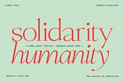 Fluneta, a Serif Font by zeenesia (Thumbnail 5 of 21)