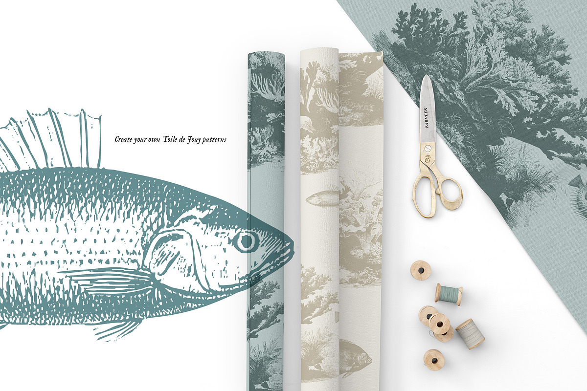 Aquatic Natural History Collection, an Object Graphic by Blixa 6 Studios (Photo 23 of 24)