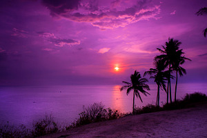 Sunset beach containing beach, sunset, and sunsetbeach