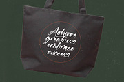 Flusteria Routine Modern Brush Font, a Script Font by stylishtype.co (Thumbnail 3 of 20)