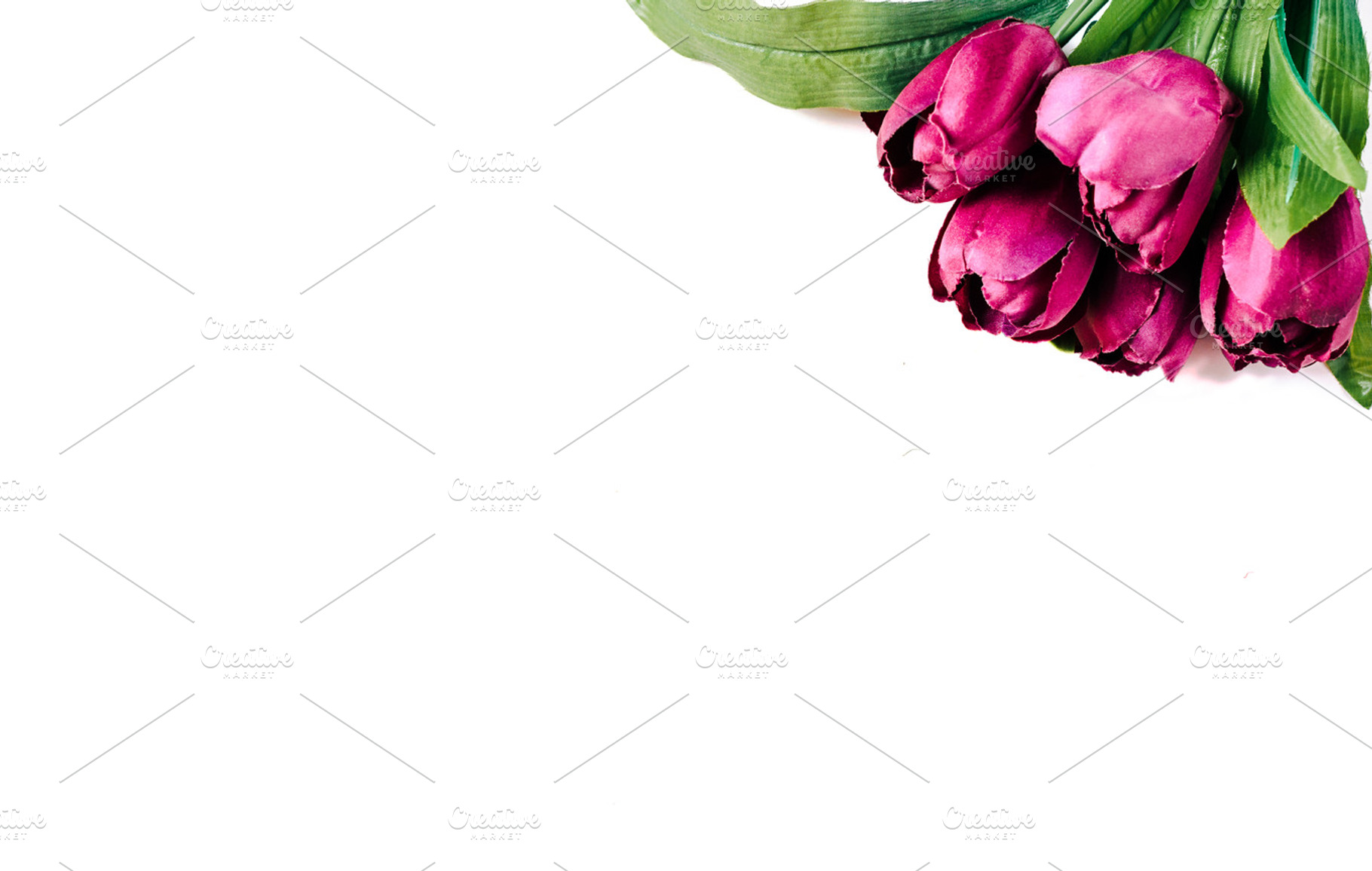 Tulips I Styled Stock, a Business Photo by SophieStockBoutique