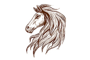 Gorgeous arabian racehorse, a Graphic by Vector Tradition