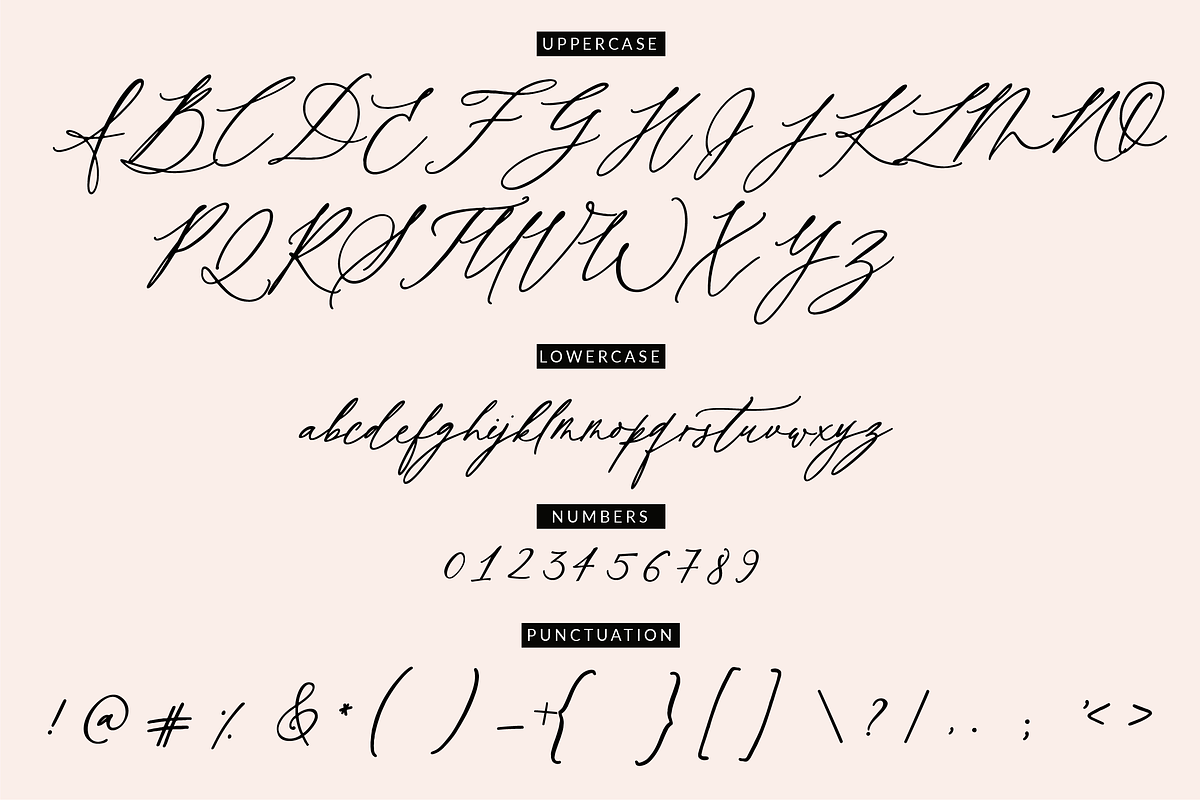 Wild Magnolia Luxury Script, a Script Font by theinkaffair (Photo 12 of 13)