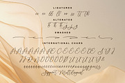 Horsion Sorelistha Font Duo, a Serif Font by Storytype Studio (Thumbnail 14 of 15)