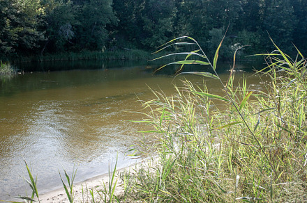 View of the river from the high bank, a Nature Photo by Schreibikus