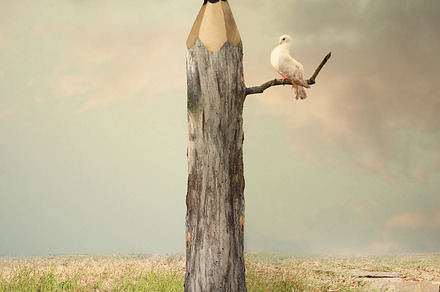 Dreamland Stock Photo Containing Peacock And Fantasy preview 6