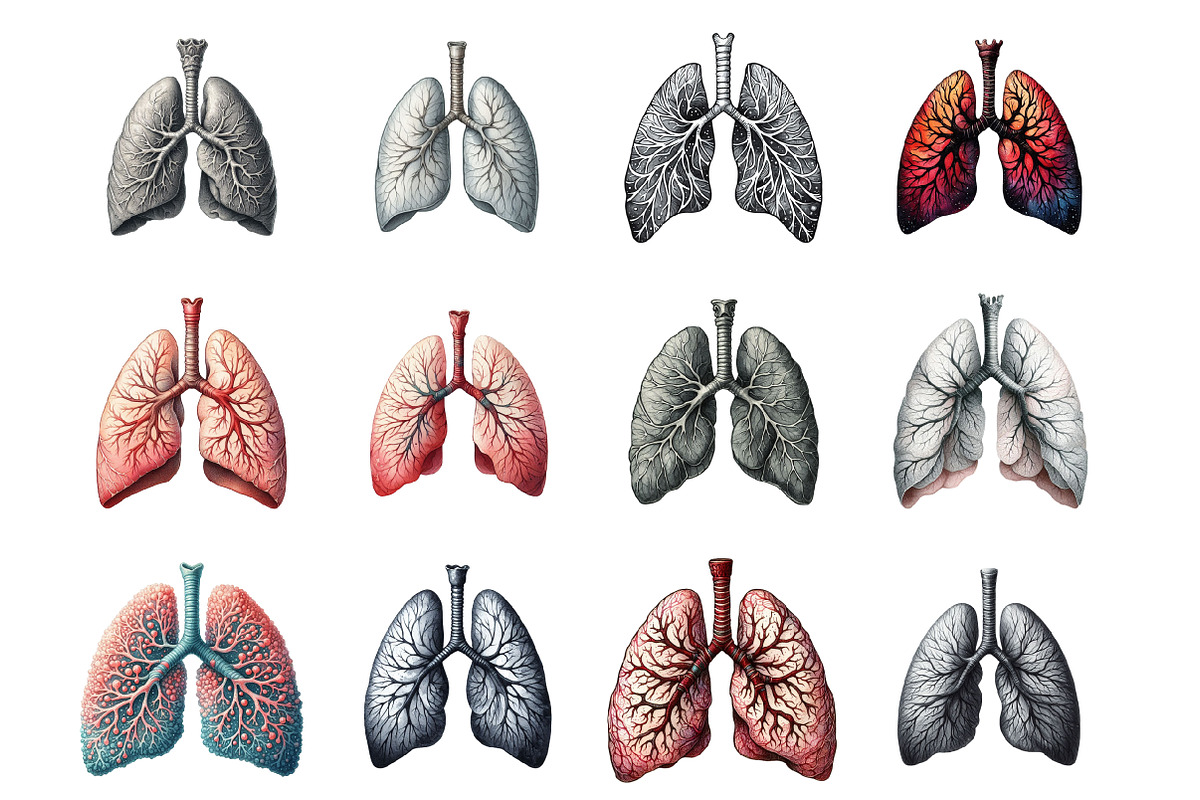 Antique Anatomy Overlays, an Illustration by Design Market (Photo 2 of 3)