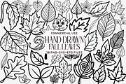 Hand Drawn  Fall Leaves Clipart Bund, an Illustration by Daily.Designs (Thumbnail 1 of 3)