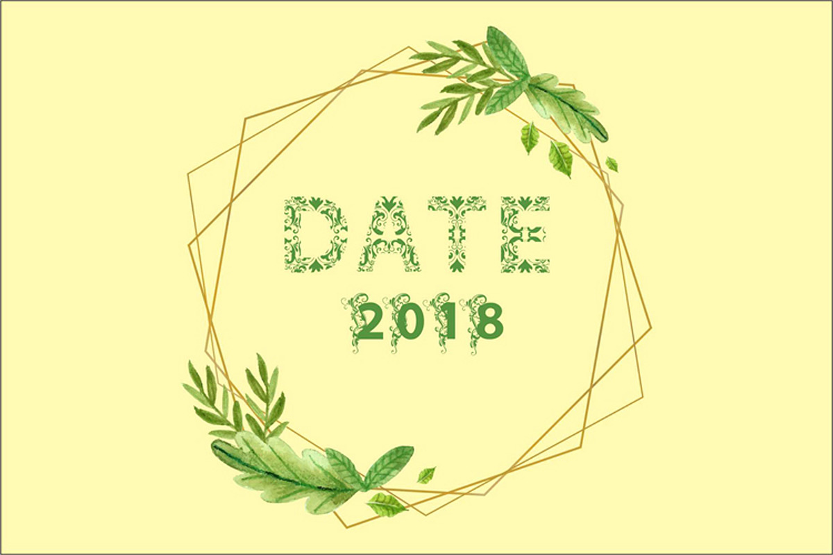 Little Garden preview 2