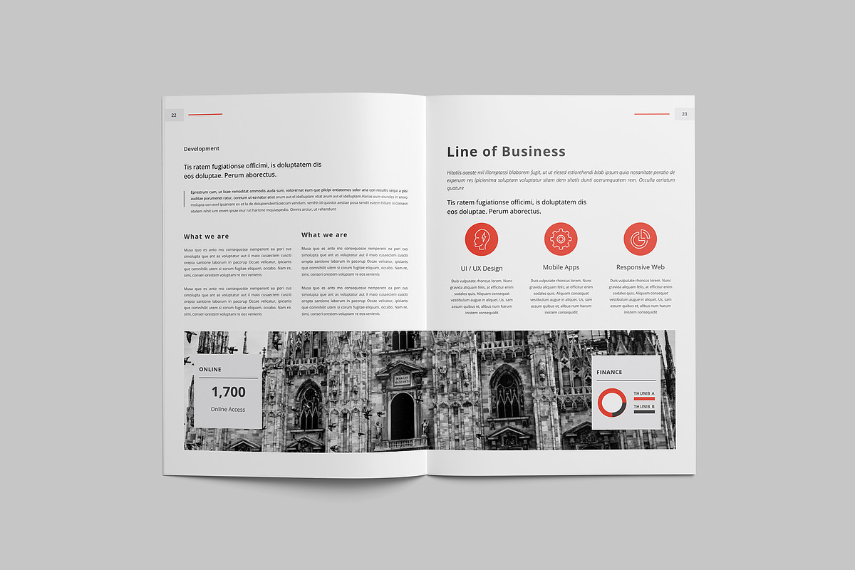 Corporate Brochure, a Brochure Template by Tanber Hossen (Photo 14 of 14)
