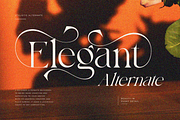 Bayari, a Serif Font by zaaintype (Thumbnail 6 of 11)