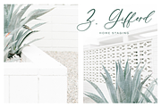 Palm Desert Modern Calligraphy Font, a Script Font by Beck McCormick (Thumbnail 2 of 10)