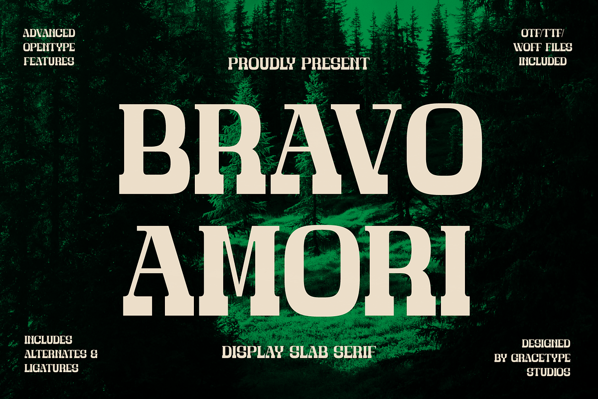 Bravo Amori | Display Slab Serif, a Slab Serif Font by gracetype_studio (Photo 1 of 12)