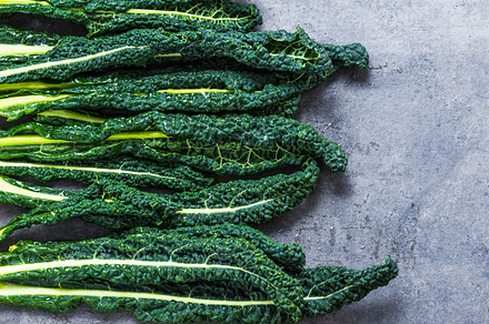 Kale leaves on dark background., a Food & Drink Photo by Leonori