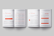 White Paper Template, a Brochure Template by Designsoul14 (Thumbnail 11 of 13)
