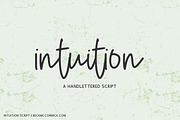 Intuition Script, a Handwritten Font by Beck McCormick (Thumbnail 1 of 10)