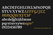 Kitsch - 32 fonts, a Serif Font by Zetafonts (Thumbnail 9 of 13)