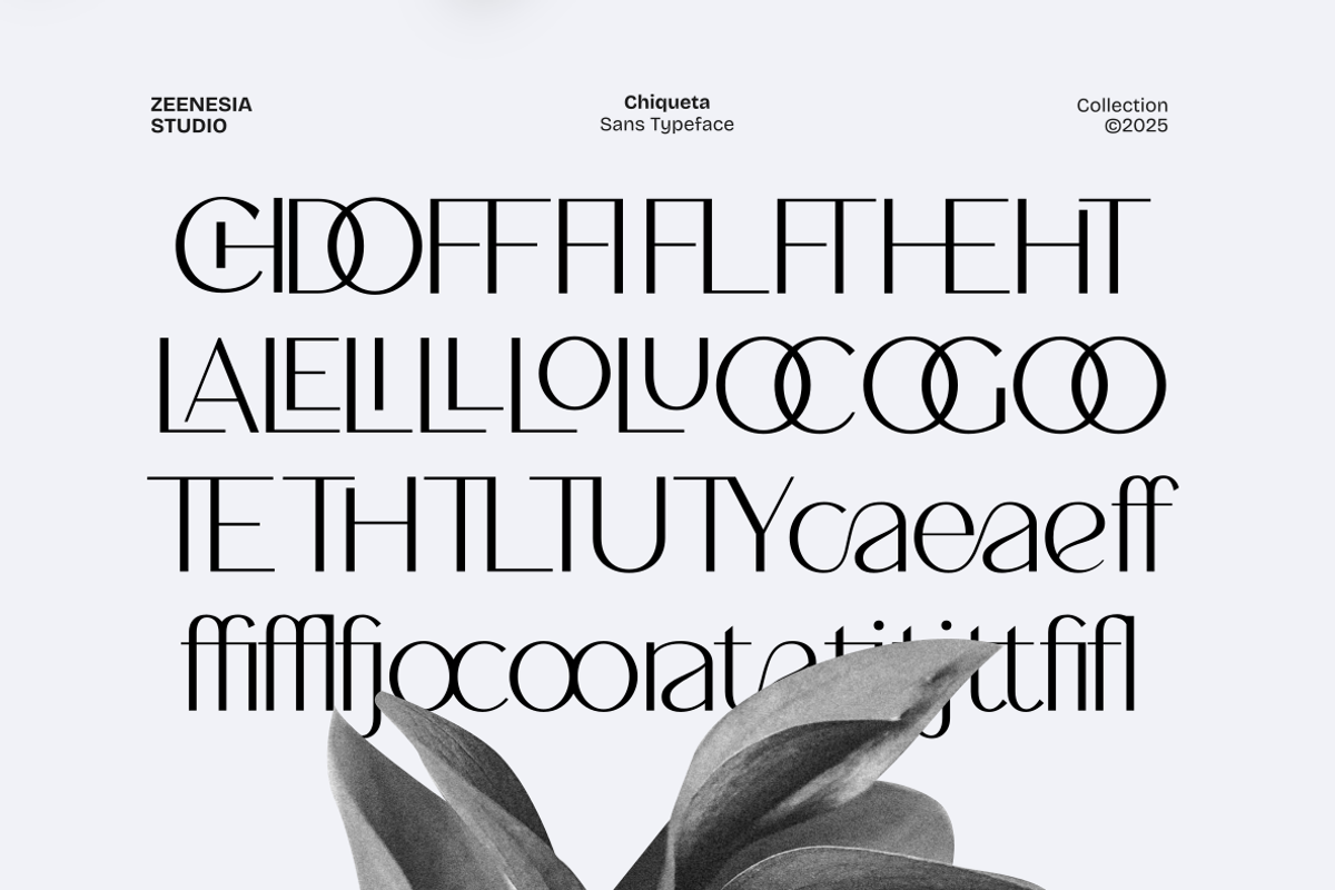 Chiqueta, a Sans Serif Font by zeenesia (Photo 16 of 18)