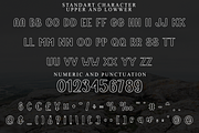 Design Thinking, a Script Font by FreshTypeINK (Thumbnail 4 of 8)