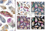 Watercolour Feathers Collection., a Decorative Illustration by VetaDesign (Thumbnail 5 of 8)