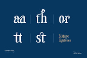 Bistage - a Modern Serif Typeface, a Serif Font by Kincrev Studio (Thumbnail 5 of 11)