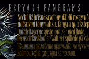 Repyakh Serif type family, a Serif Font by LevType (Thumbnail 13 of 14)