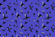 INK DREAMS: FLYING BIRDS, a Food Illustration by HANNA V (Thumbnail 12 of 12)