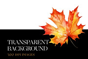 Fall Leaves Clipart, Autumn Leaf PNG, a Decorative Illustration by BrushstrokeArtGB (Thumbnail 7 of 9)